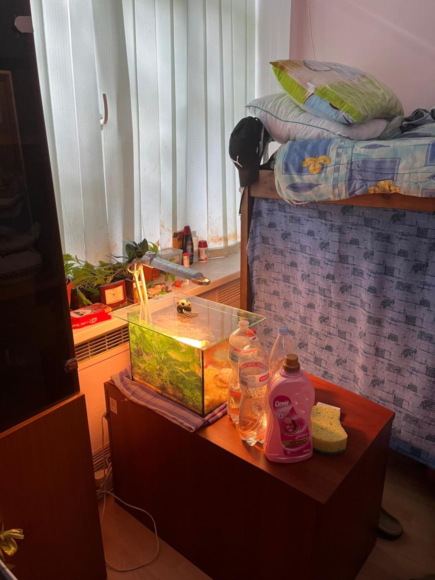 Ararat-Holosiivskyi Hostel 基輔 外观 照片